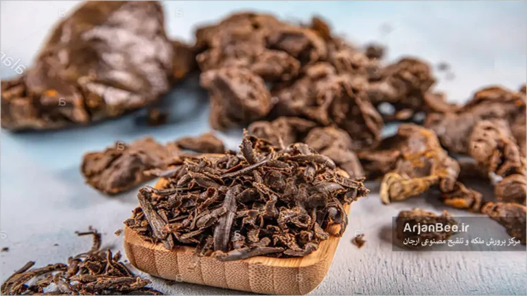 جمع آوری بره موم از زنبورهای عسل