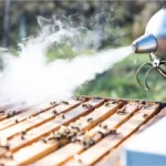 استفاده از دودی