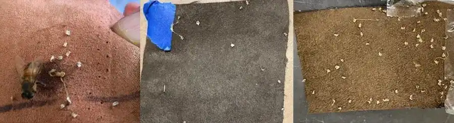 تکه‌های پارچه استفاده‌شده در آزمون رفتاری