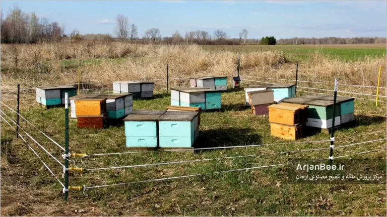 جلوگیری از سرقت کندوهای زنبورعسل