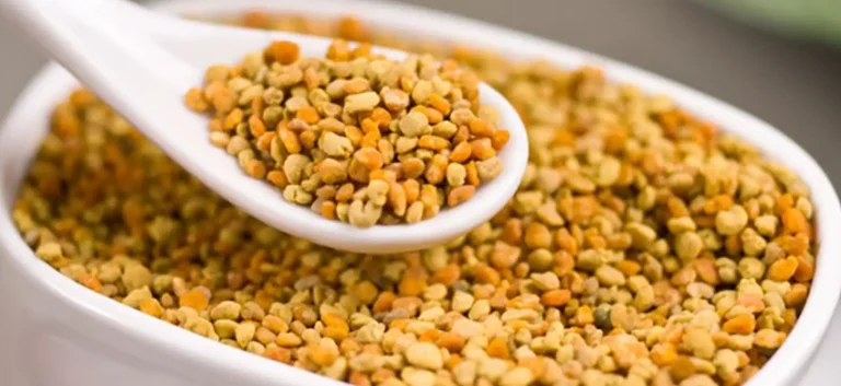گرده زنبور عسل