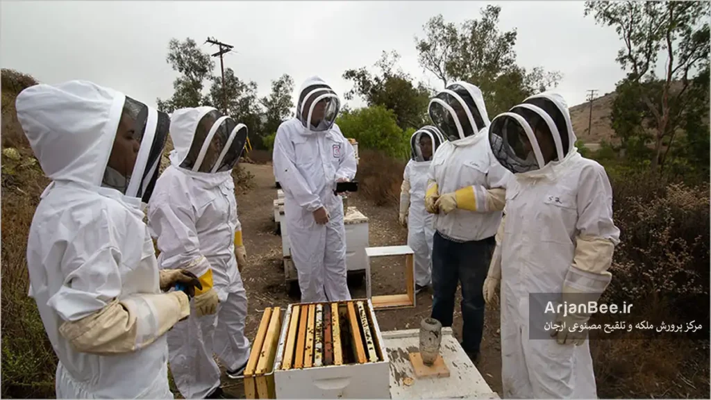 توجیه زنبورداران در زنبورستان