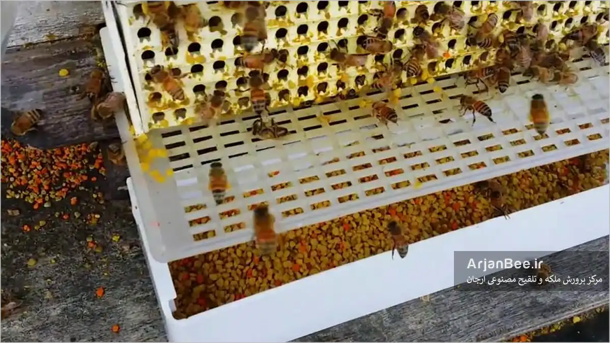 برداشت گرده با تله‌های گرده‌گیری