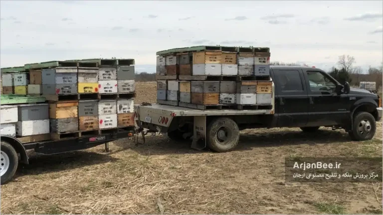 ایمنی در جابه‌جایی و حمل‌ و نقل کندو