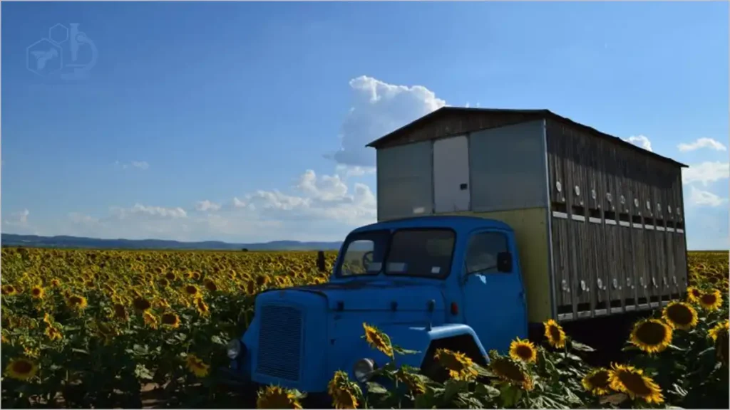 خدمات گرده‌افشانی