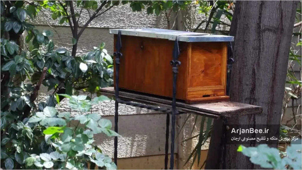 کندوی طعمه برای جذب بچه زنبور