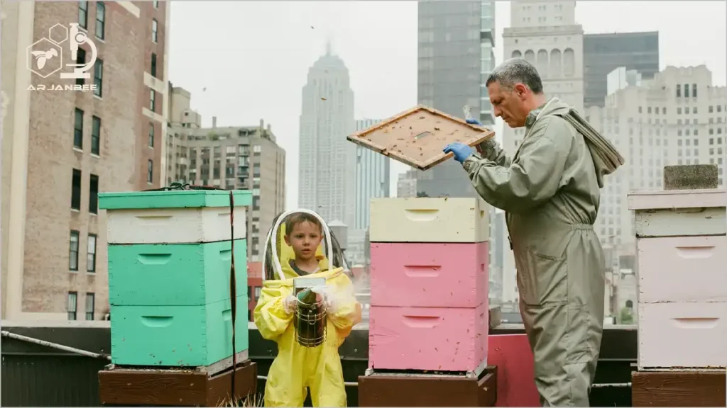 زنبورداری در شهر