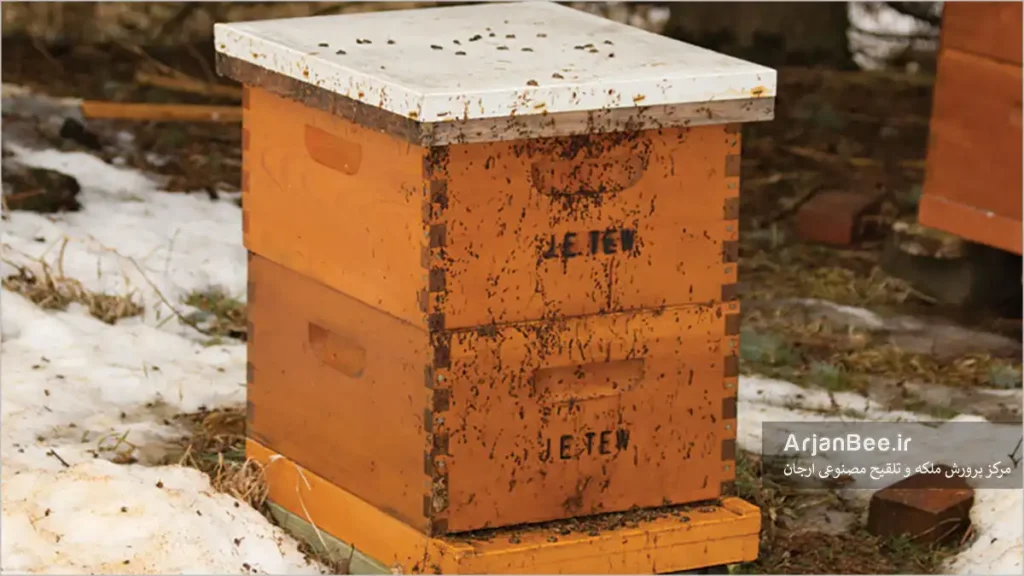 بیماری اسهال زنبور عسل