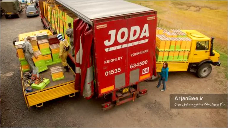 بارگیری و جابه جایی کندوهای زنبورعسل