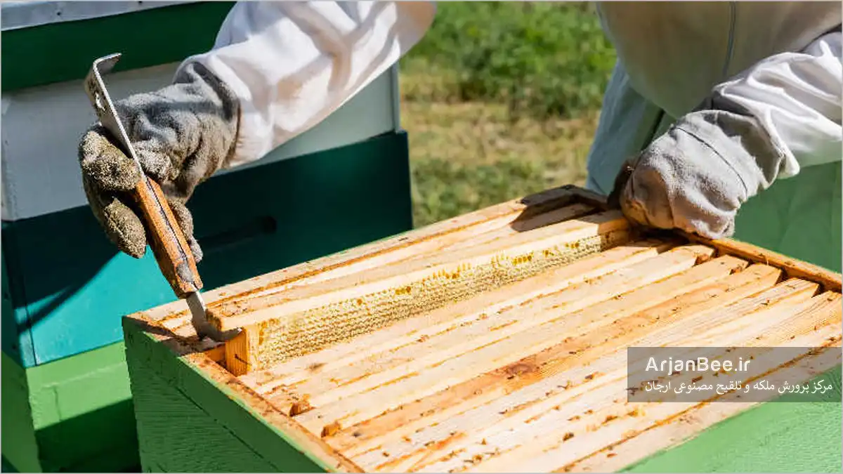 آموزش بازرسی کندو به همراه چک لیست رایگان 3 ابزارهای تخصصی زنبورداری، کار خارج کردن قابها را آسانتر میکنند.