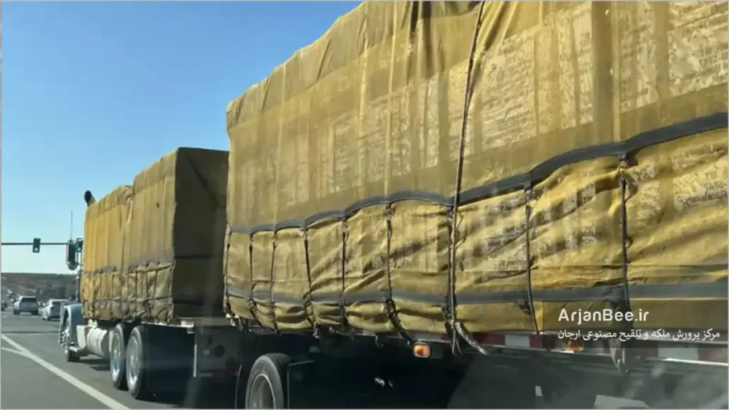 انتقال زنبورها در مسافت‌های طولانی