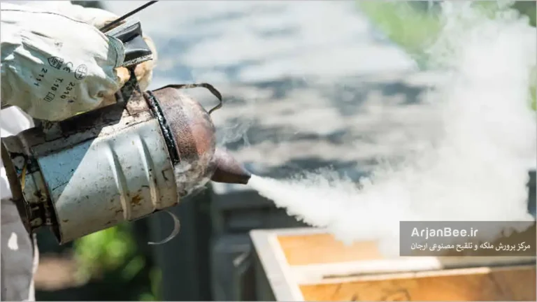 تصویر: دودی که دود را به داخل کندو پمپ می‌کند، زنبورها را با استفاده از دود آرام کنید.
