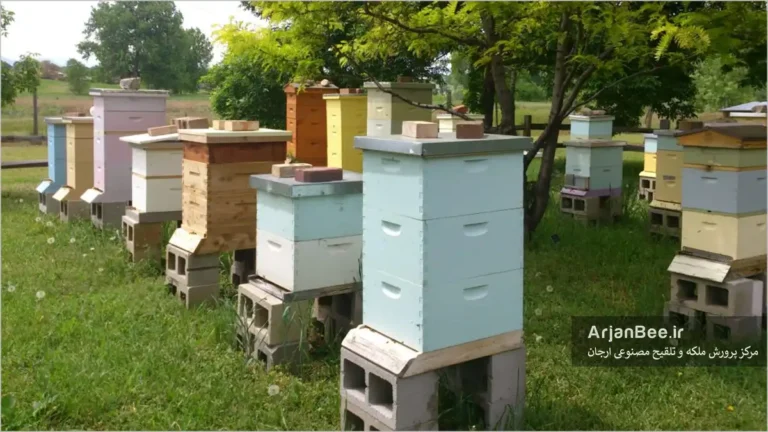 چیدن کندوهای زنبور عسل