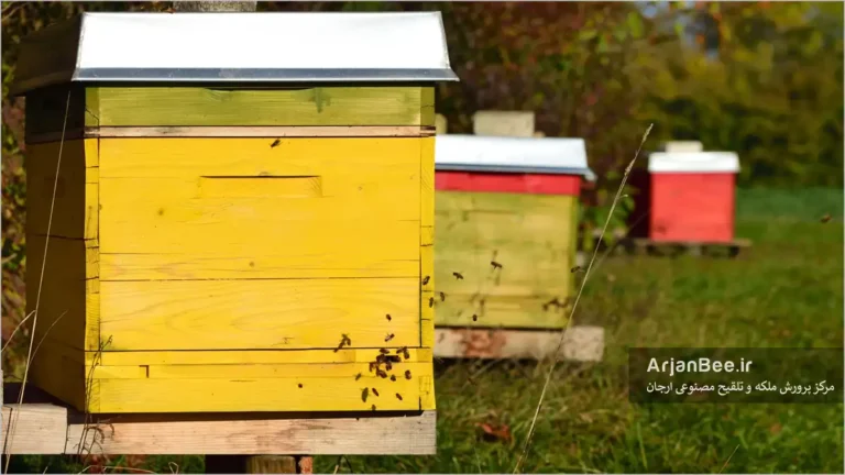 مکان مناسب کندو