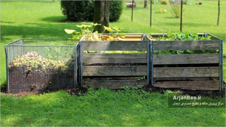 مدیریت زنبور در کود کمپوست