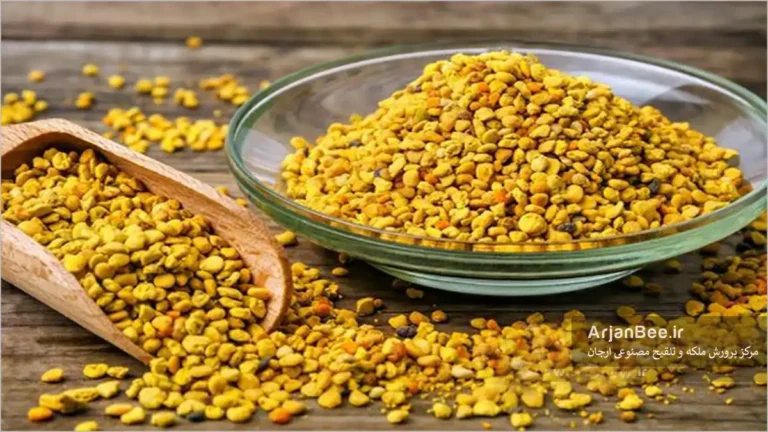 گرده گل جمع آوری شده توسط زنبور عسل