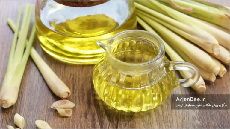 روغنهای اسانسی در زنبورداری