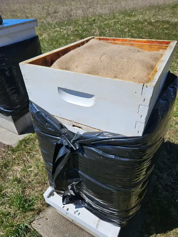 جعبه لحاف کندوی عسل