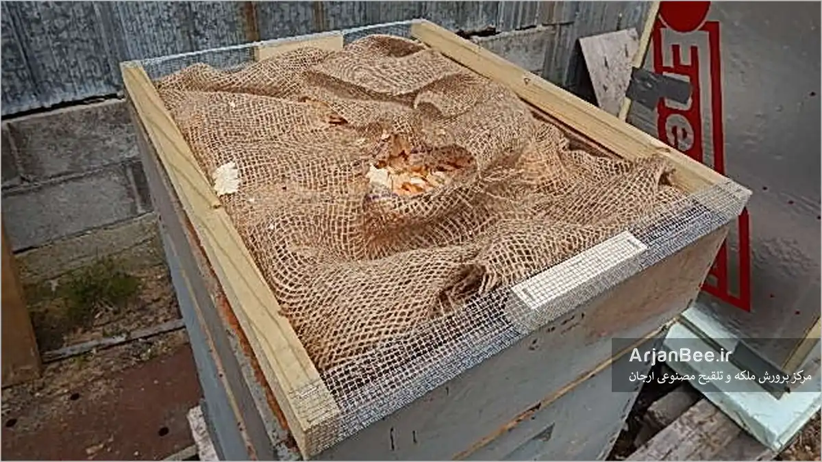 کنترل رطوبت کندو در زمستان