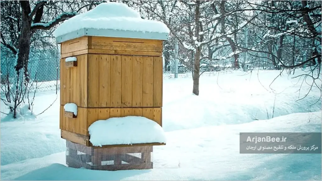 مدیریت تابستانی کندو برای زمستان موفق زنبور عسل