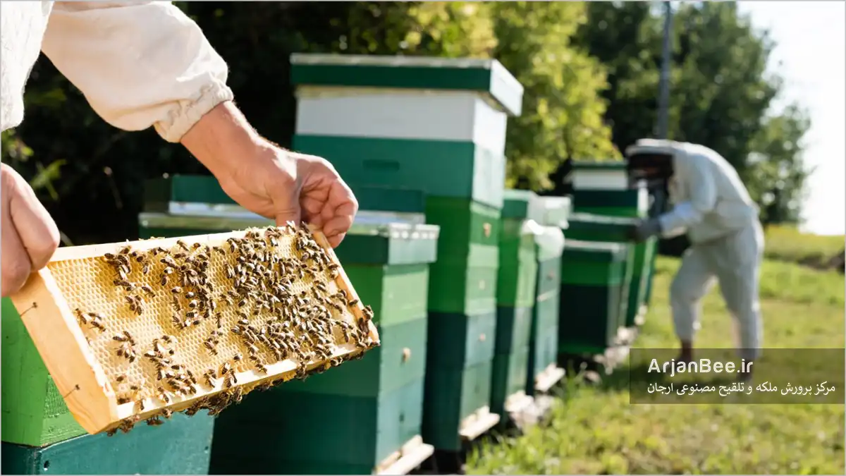 مدیریت تلفیقی آفات در زنبورداری