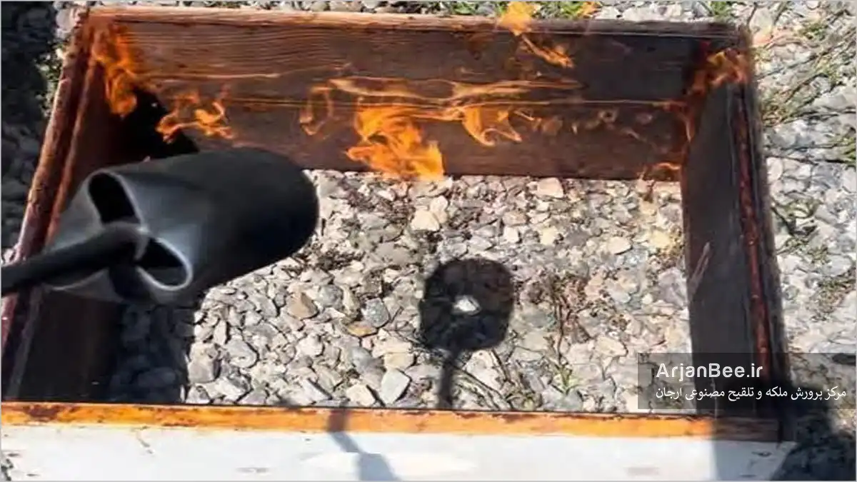 ضدعفونی کردن کندو با مشعل و آتش