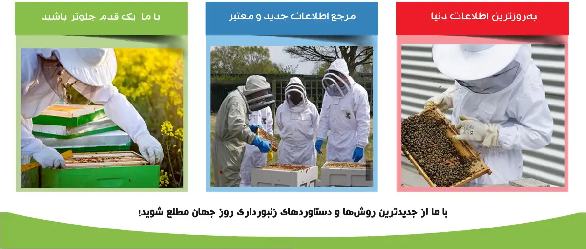 راهنمای کامل علامت گذاری ملکه زنبور عسل 2