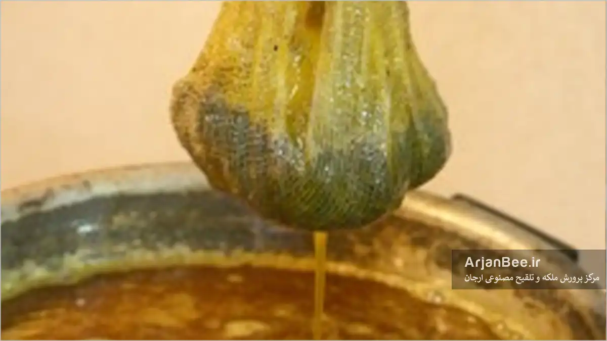 تصفیه کردن موم زنبور عسل