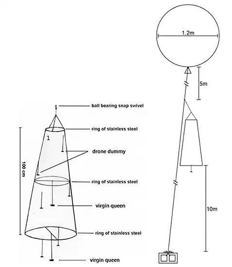 نمایی از مدل تلهٔ شکار نر