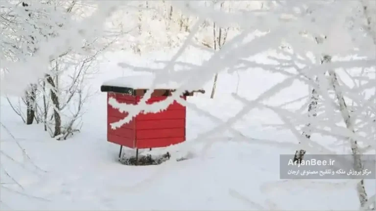 زمستان گذرانی کندوی زنبور عسل