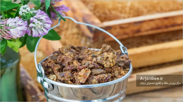 یک سطل پر از بره موم