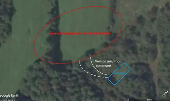  کندوی پرورش‌دهنده با رنگ آبی، مسیر مهاجرتی با رنگ سفید، و منطقه تجمع نرها با رنگ قرمز مشخص شده‌