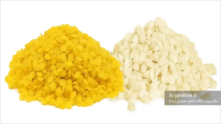 تفاوت موم زرد و موم سفید زنبور عسل