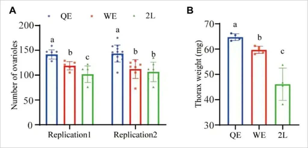 تعداد تخمدان (A) و وزن قفسه سینه (B) ملکه ها (از یو و همکاران ، 2023)