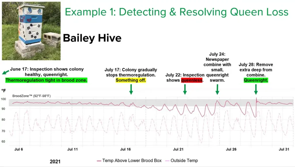 پایش دمای کندو با ابزارهای نوین؛ وضعیت ملکه و پرورش لارو | بخش 1 9