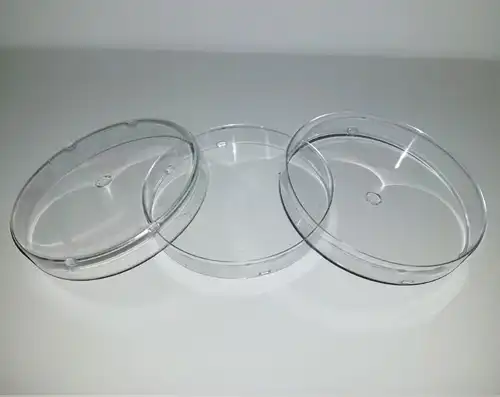 قاب‌های بخش راس روندز