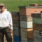 مدیریت ویروسهای زنبور عسل؛ راهکارهایی برای سلامت کلنی 1 Tracy Farone