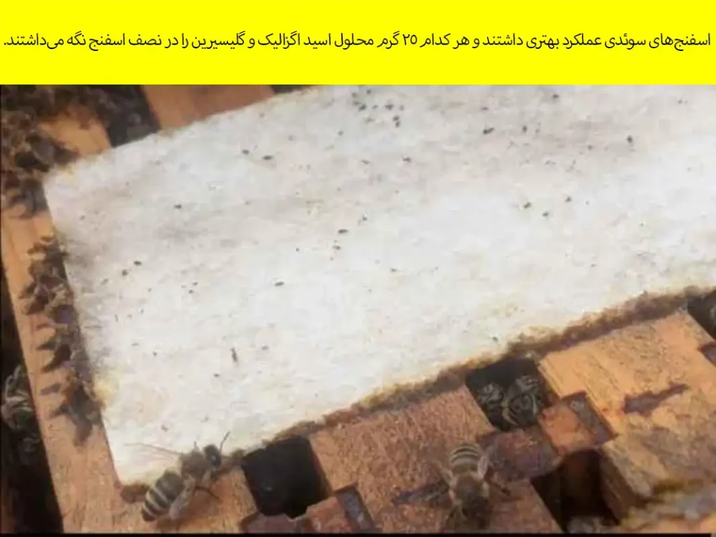 آماده‌سازی اسفنج‌ها یا پدهای ماکسیمایزر