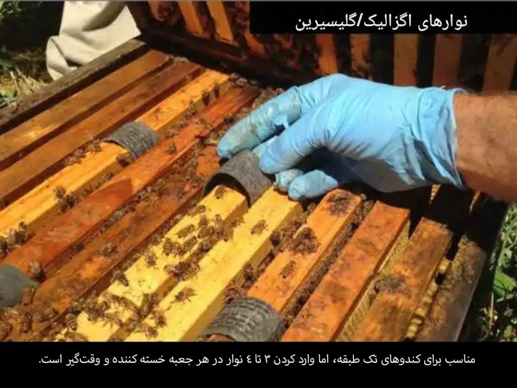 کارگذاری پدهای اسید اگزالیک و گلیسیرین