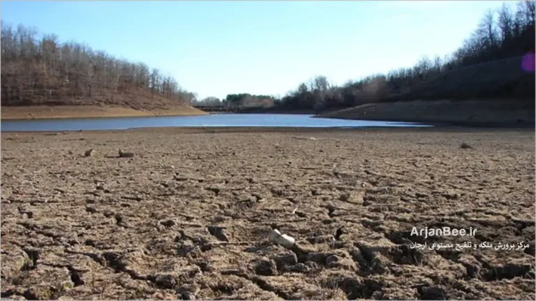 تاثیرات تغییرات اقلیمی بر طبیعت