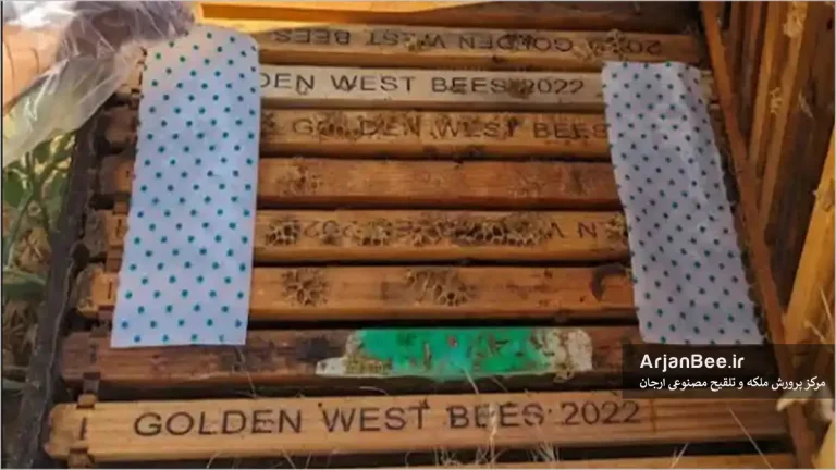 ترکیب اسید اگزالیک و گلیسیرین