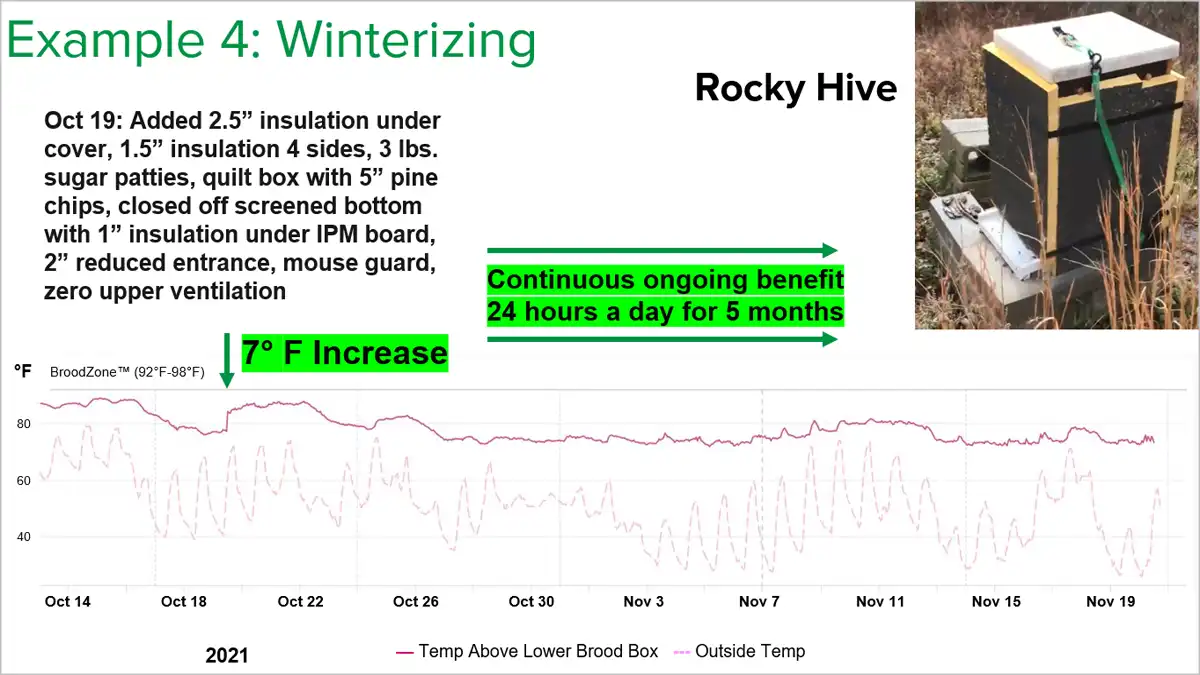 شکل 3: این نمودار BroodMinder افزایش قابل‌تشخیص حدود 4 درجه سانتی‌گراد دما را در داخل کلنی، در روزی که زمستان‌سازی انجام شد، نشان می‌دهد.