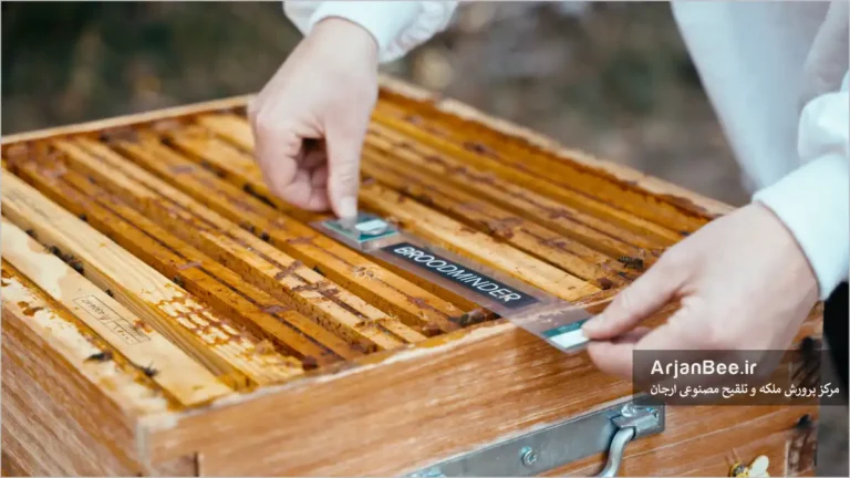 حسگر دمای BroodMinder T2SM