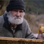 زنبوردار سالخورده