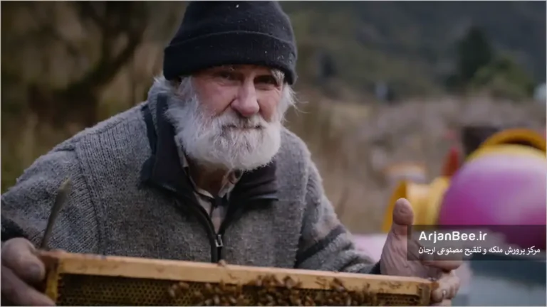 زنبوردار سالخورده