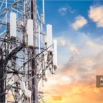 تاثیرات امواج الکترومغناطیسی بر زنبور عسل