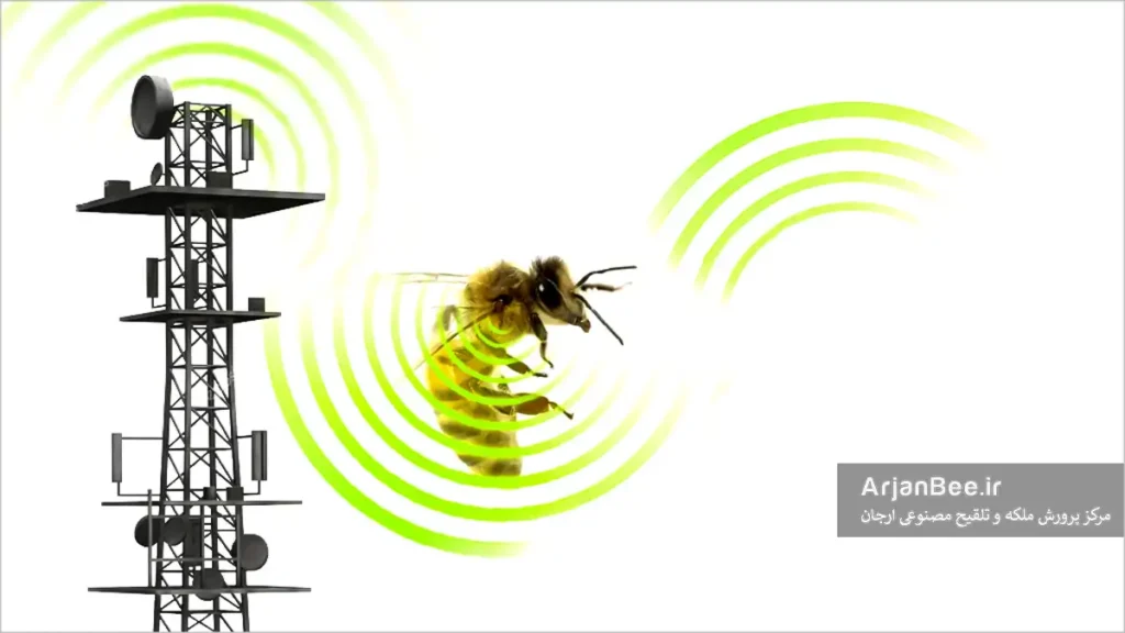 تأثیر امواج الکترومغناطیسی بر زنبورهای عسل