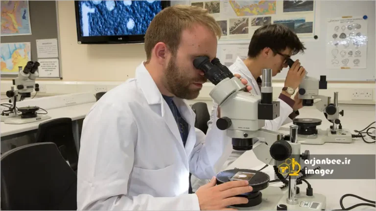 مطالعه گرده در عسل