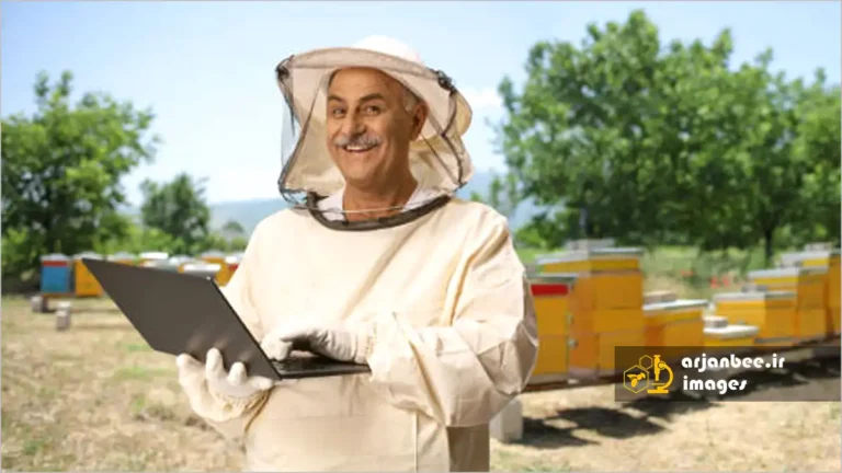 کسب‌ و کار زنبورداری آنلاین