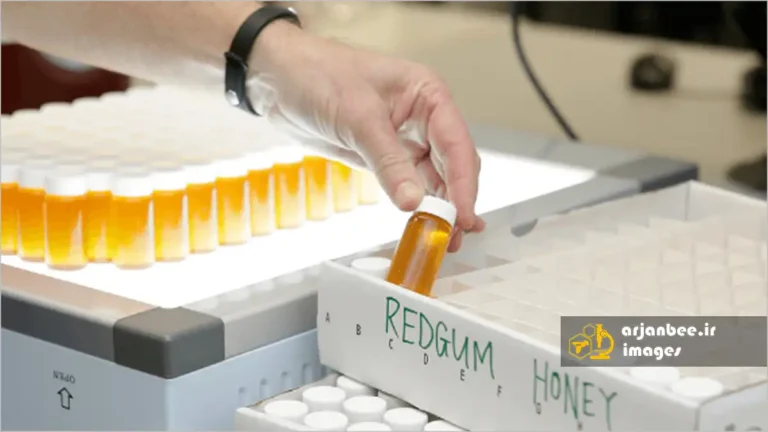 چالش‌های مداوم در تحلیل عسل